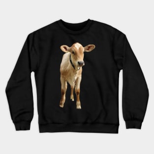 Funny beef calf cattle Crewneck Sweatshirt